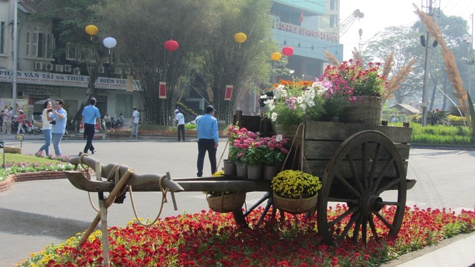 Đường hoa Nguyễn Huệ khoe sắc trước giờ khai mạc - ảnh 15